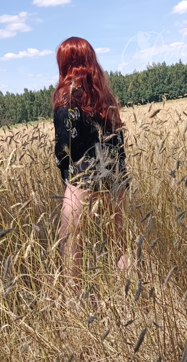 Muszelka