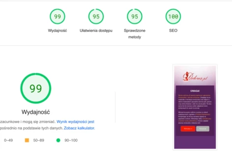RAPORT PO 1 MIESIĄCU DZIAŁALNOŚCI PORTALU, ile mają wyświetleń i jakie wyniki osiągnął portal?
